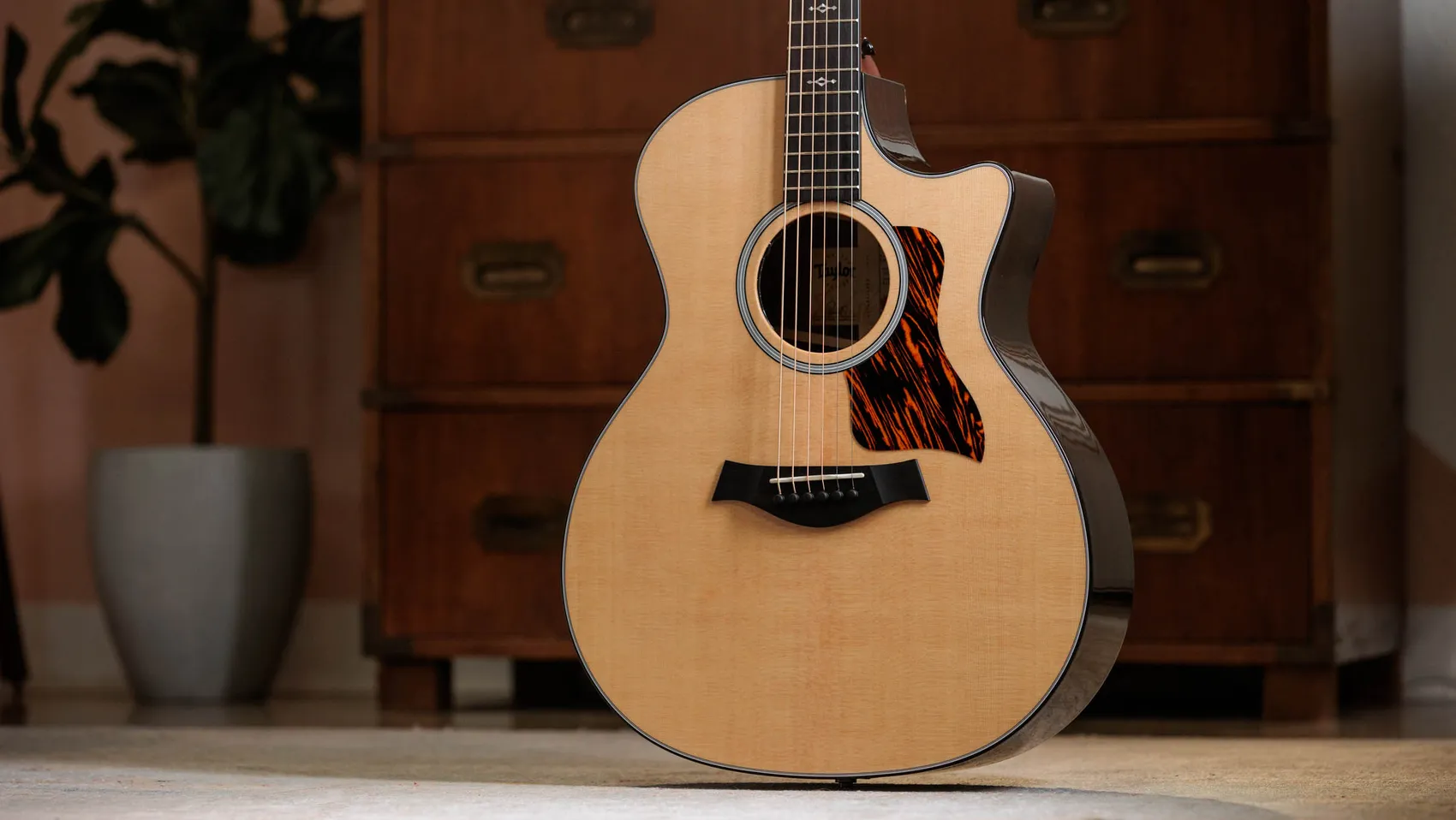 Taylor-414ce-1208275084-(2026 Spec)-gallery-17-2025.jpg